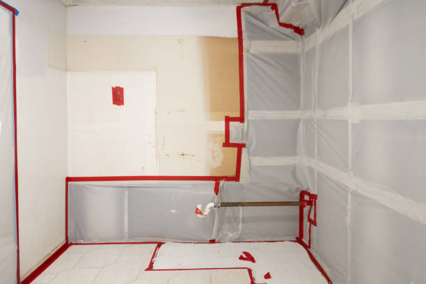 Trusted Middletown, OH Mold Removal Experts